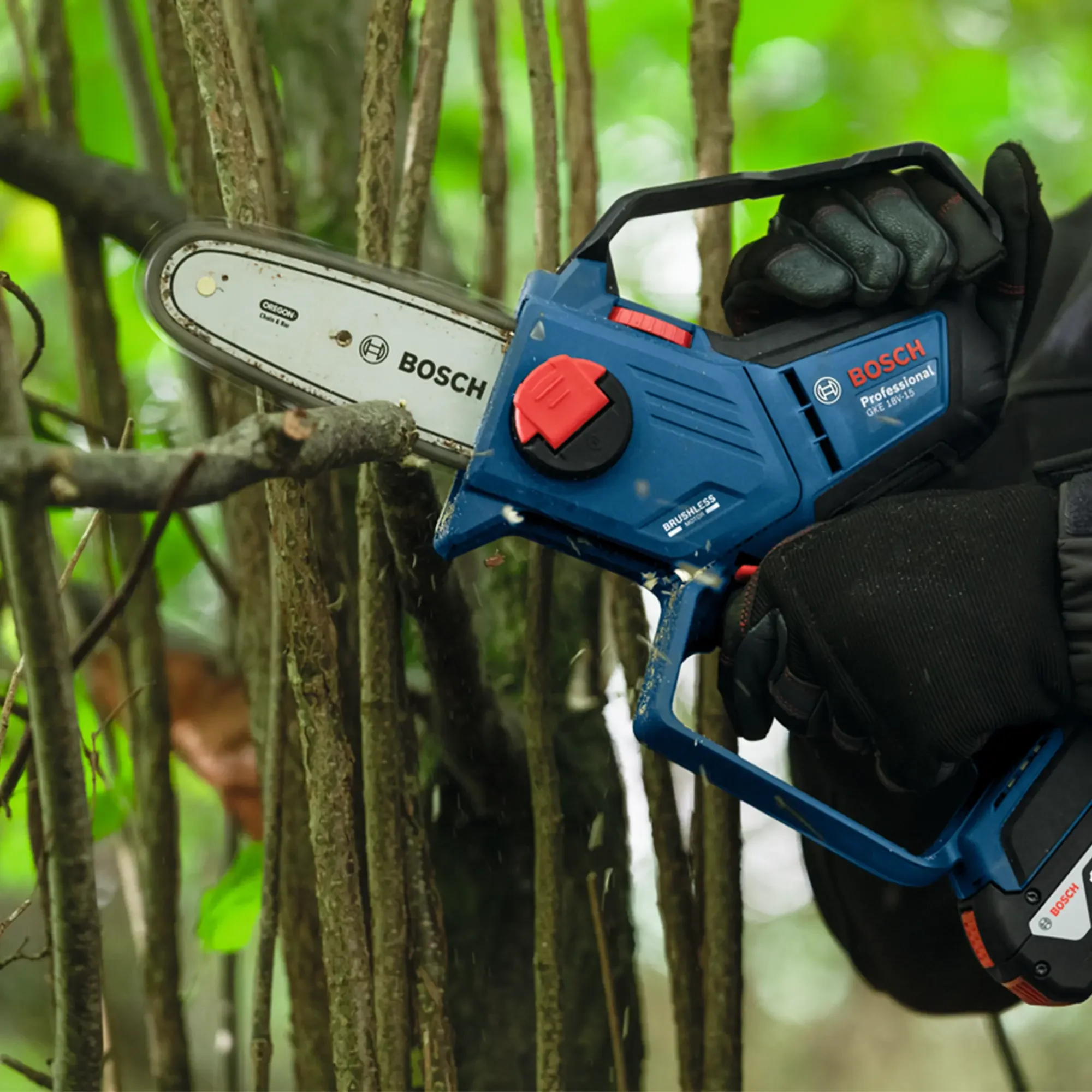 Immagine prodotto 6